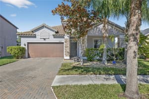 11924 FROST ASTER DRIVE, RIVERVIEW, FL 33579 - MLS#MFRTB8457570