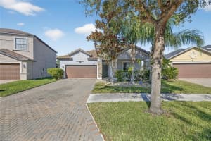 11924 FROST ASTER DRIVE, RIVERVIEW, FL 33579 - MLS#MFRTB8457570