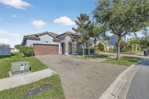 11924 FROST ASTER DRIVE, RIVERVIEW, FL 33579 - MLS#MFRTB8457570