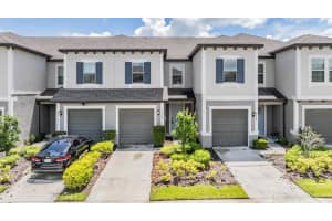 8082 Rolling Shell Trl, WESLEY CHAPEL