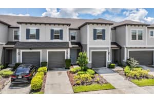 8082 ROLLING SHELL TRAIL, WESLEY CHAPEL, FL 33545 - MLS#MFRTB8457575
