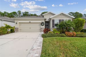 32813 SAND CREEK DRIVE, WESLEY CHAPEL, FL 33543 - MLS#MFRTB8457683