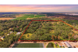 12454 BROWNS BERRY ROAD, DOVER, FL 33527 - MLS#MFRTB8457684