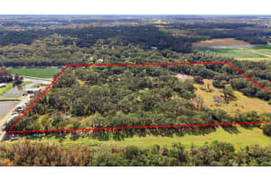 12454 BROWNS BERRY ROAD, DOVER, FL 33527 - MLS#MFRTB8457684