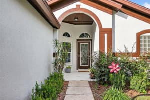 2630 ALLWOOD AVENUE, VALRICO, FL 33596 - MLS#MFRTB8457699