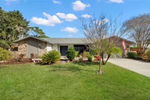 2513 JENNIFER TERRACE, PALM HARBOR, FL 34685 - MLS#MFRTB8457711