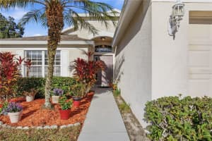 30525 LANESBOROUGH CIRCLE, WESLEY CHAPEL, FL 33543 - MLS#MFRTB8457759