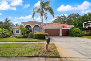 9912 CHRIS CRAFT COURT, TAMPA, FL 33615 - MLS#MFRTB8457830