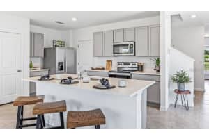 MLS# MFRTB8457847, Land O Lakes, Florida 34638