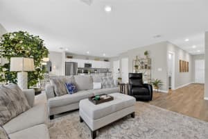 12908 HAWKSTONE TRAIL BOULEVARD, LITHIA, FL 33547 - MLS#MFRTB8457882