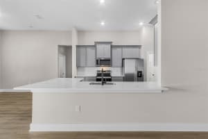 13432 LAKE GALLAGHER DRIVE, DOVER, FL 33527 - MLS#MFRTB8457894