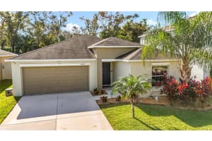 10215 SHIMMERING KOI WAY, RIVERVIEW, FL 33578 - MLS#MFRTB8457930