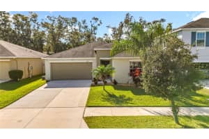 10215 SHIMMERING KOI WAY, RIVERVIEW, FL 33578 - MLS#MFRTB8457930