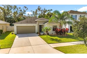 10215 SHIMMERING KOI WAY, RIVERVIEW, FL 33578 - MLS#MFRTB8457930