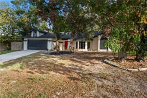 5432 BIRCHWOOD ROAD, SPRING HILL, FL 34608 - MLS#MFRTB8457968