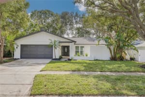 2235 Willow Tree Trl, CLEARWATER