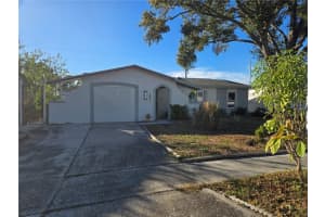 1003 Papaya Dr, TAMPA