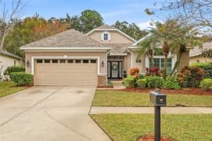 10403 APPLECROSS LANE, TAMPA, FL 33626 - MLS#MFRTB8458034