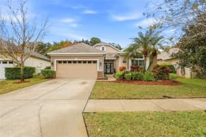 10403 APPLECROSS LANE, TAMPA, FL 33626 - MLS#MFRTB8458034