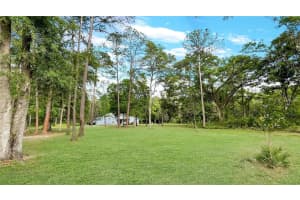 12708 BELLAMY BROTHERS BOULEVARD, DADE CITY, FL 33525 - MLS#MFRTB8458089