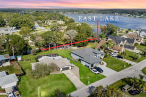 22481 SOUTHSHORE DRIVE, LAND O LAKES, FL 34639 - MLS#MFRTB8458090