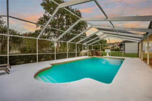 22481 SOUTHSHORE DRIVE, LAND O LAKES, FL 34639 - MLS#MFRTB8458090