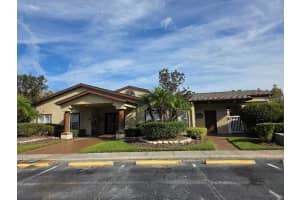 16413 ENCLAVE VILLAGE DRIVE, TAMPA, FL 33647 - MLS#MFRTB8458130