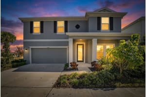 5407 Tagalong Pl, APOLLO BEACH 5407 Tagalong Pl, APOLLO BEACH