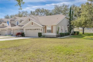 656 SPRING LAKE CIRCLE, TARPON SPRINGS, FL 34688 - MLS#MFRTB8458168
