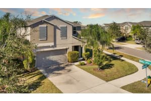 17201 Beach Buttercup Pl, WIMAUMA