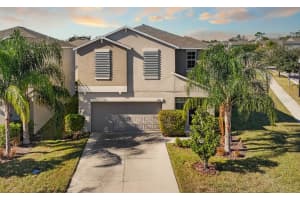17201 BEACH BUTTERCUP PLACE, WIMAUMA, FL 33598 - MLS#MFRTB8458346