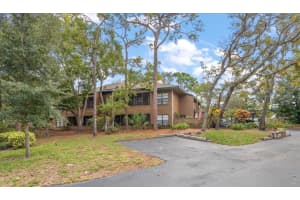 1105 LENNOX ROAD, PALM HARBOR, FL 34683 - MLS#MFRTB8458350