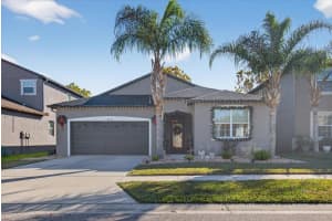 18564 STROMBURY DRIVE, LAND O LAKES, FL 34638 - MLS#MFRTB8458352