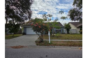 24914 SILVERSMITH DRIVE, LUTZ, FL 33559 - MLS#MFRTB8458397