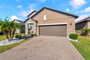 13220 SATIN LILY DRIVE, RIVERVIEW, FL 33579 - MLS#MFRTB8458412