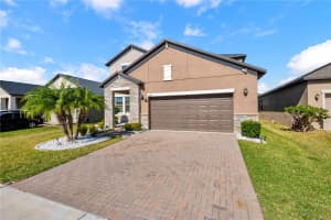 13220 SATIN LILY DRIVE, RIVERVIEW, FL 33579 - MLS#MFRTB8458412