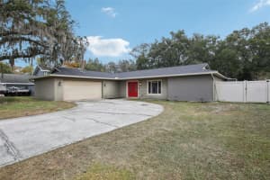 14107 N Briarthorn Dr, TAMPA