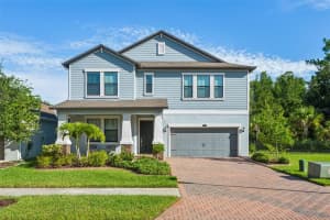 16312 HYDE MANOR DRIVE, TAMPA, FL 33647 - MLS#MFRTB8458437