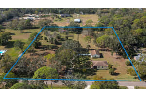 8132 HONEYBEE LANE, TAMPA, FL 33635 - MLS#MFRTB8458452