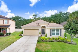 11415 COVENTRY GROVE CIRCLE, LITHIA, FL 33547 - MLS#MFRTB8458476