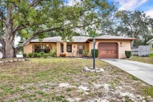 1180 MACFARLANE AVENUE, SPRING HILL, FL 34608 - MLS#MFRTB8458477