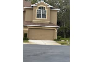 18960 Duquesne Dr, TAMPA