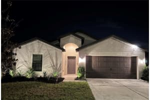 921 Wynnmere Walk Ave, RUSKIN