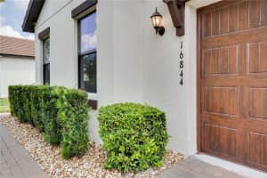 16844 WHISPER ELM STREET, WIMAUMA, FL 33598 - MLS#MFRTB8458532