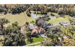 3911 LITHIA RIDGE BOULEVARD, VALRICO, FL 33596 - MLS#MFRTB8458547