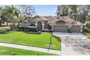 3911 LITHIA RIDGE BOULEVARD, VALRICO, FL 33596 - MLS#MFRTB8458547