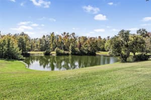 3911 LITHIA RIDGE BOULEVARD, VALRICO, FL 33596 - MLS#MFRTB8458547