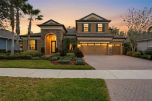 31999 WATOGA LOOP, WESLEY CHAPEL, FL 33543 - MLS#MFRTB8458550