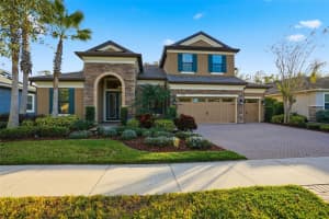 31999 WATOGA LOOP, WESLEY CHAPEL, FL 33543 - MLS#MFRTB8458550