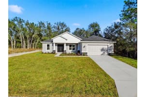 8265 AMBOY DRIVE, CITRUS SPRINGS, FL 34433 - MLS#MFRTB8458554